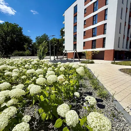 Azabia Luxury - Nest 5 Appartamento Cluj-Napoca